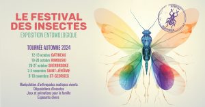Festival des insectes 2024
