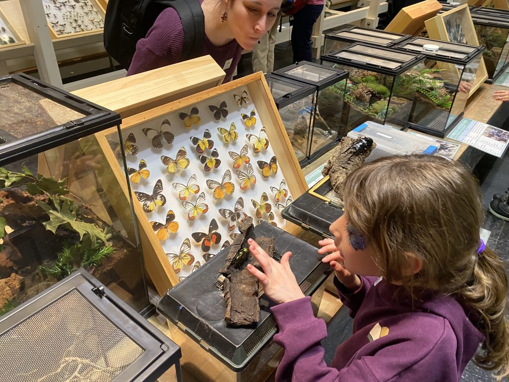 Festival des Insectes 2026 — La Bibitte Mobile