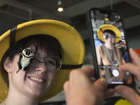 Festival des insectes